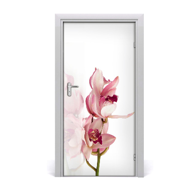 Fototapeta na dvere ružová orchidea