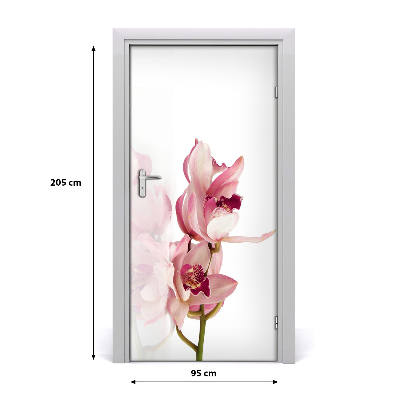 Fototapeta na dvere ružová orchidea