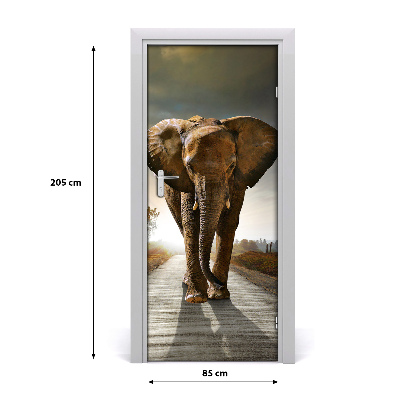 Samolepiace fototapety na dvere chodiaci slon