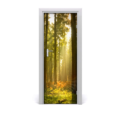 Fototapeta na dvere pekný les