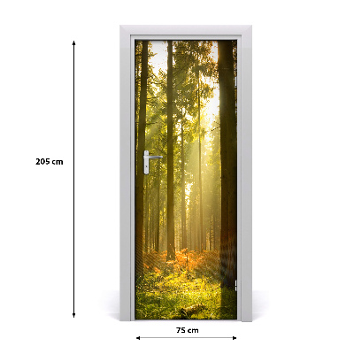 Fototapeta na dvere pekný les