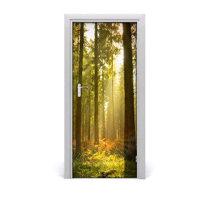 Fototapeta na dvere pekný les