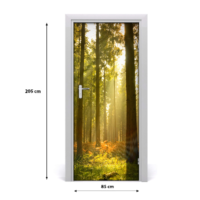 Fototapeta na dvere pekný les