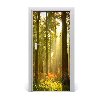 Fototapeta na dvere pekný les