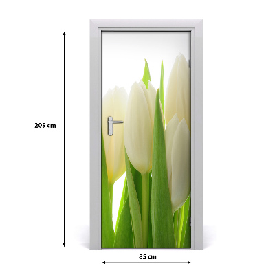 Fototapeta na dvere biele tulipány