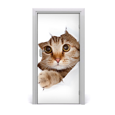 Samolepiace fototapety na dvere mačka