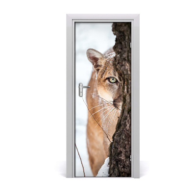 Fototapeta samolepiace na dvere horská puma