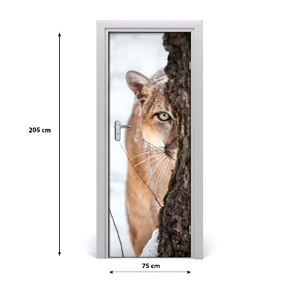 Fototapeta samolepiace na dvere horská puma
