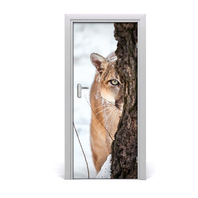 Fototapeta samolepiace na dvere horská puma