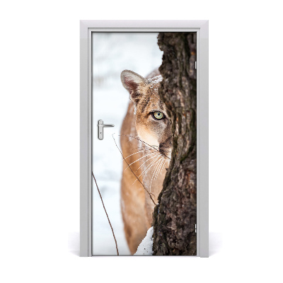 Fototapeta samolepiace na dvere horská puma