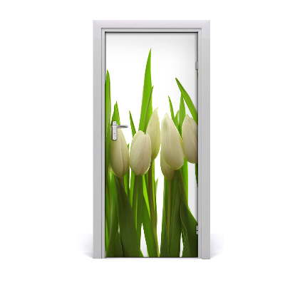 Fototapeta na dvere biele tulipány