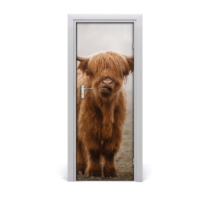 Fototapeta samolepiace na dvere kravy kopec