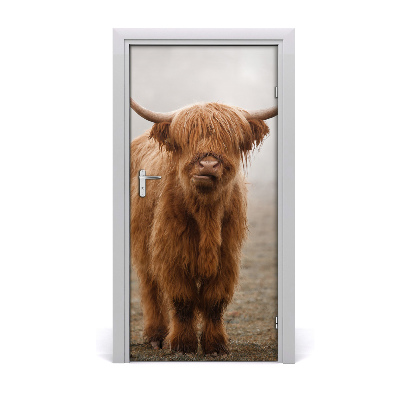 Fototapeta samolepiace na dvere kravy kopec