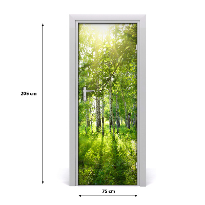 Fototapeta na dvere Břízová les
