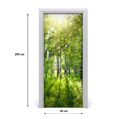 Fototapeta na dvere Břízová les