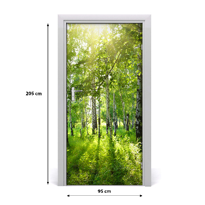 Fototapeta na dvere Břízová les