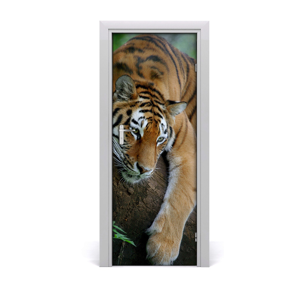 Samolepiace fototapety na dvere tiger na strome
