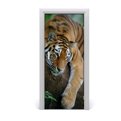 Samolepiace fototapety na dvere tiger na strome