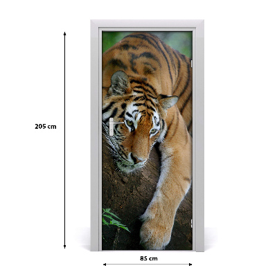 Samolepiace fototapety na dvere tiger na strome