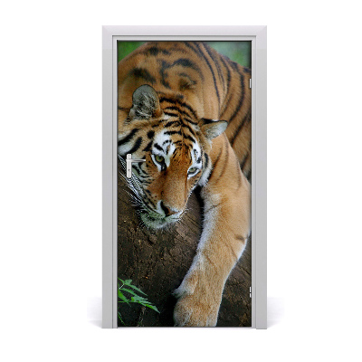 Samolepiace fototapety na dvere tiger na strome