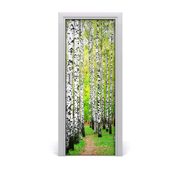 Fototapeta na dvere Břízová les