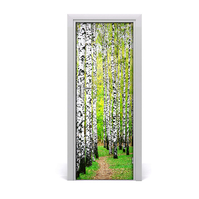 Fototapeta na dvere Břízová les