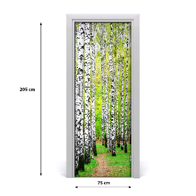 Fototapeta na dvere Břízová les