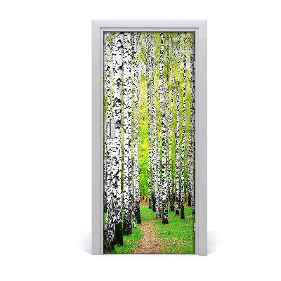 Fototapeta na dvere Břízová les