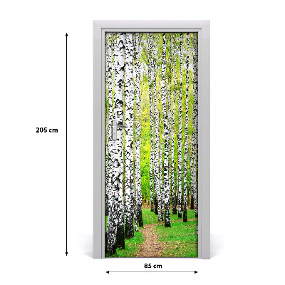 Fototapeta na dvere Břízová les