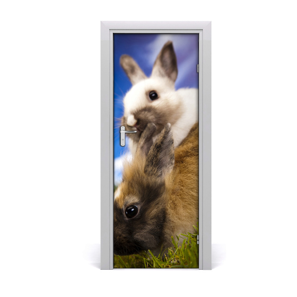 Samolepiace fototapety na dvere dva králiky