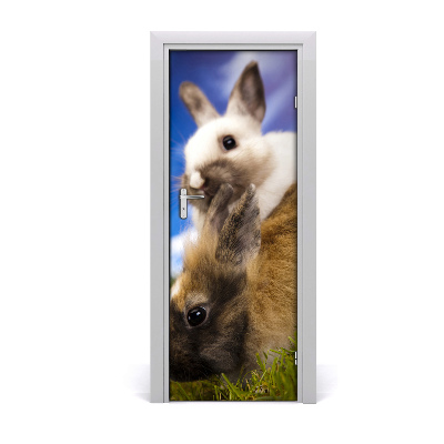 Samolepiace fototapety na dvere dva králiky