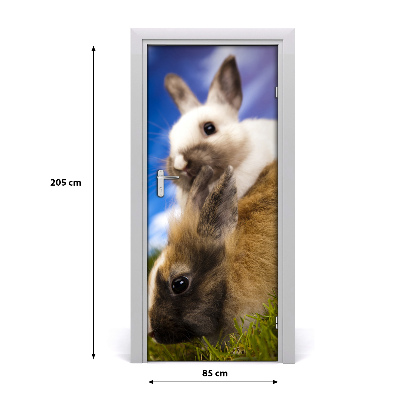 Samolepiace fototapety na dvere dva králiky