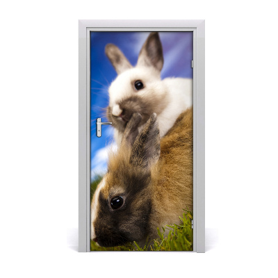 Samolepiace fototapety na dvere dva králiky