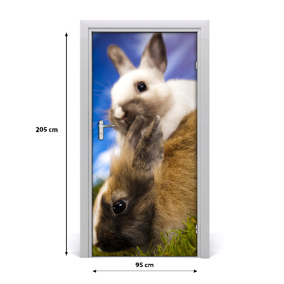 Samolepiace fototapety na dvere dva králiky