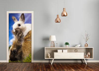 Samolepiace fototapety na dvere dva králiky