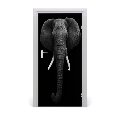 Samolepiace fototapety na dvere africký slon
