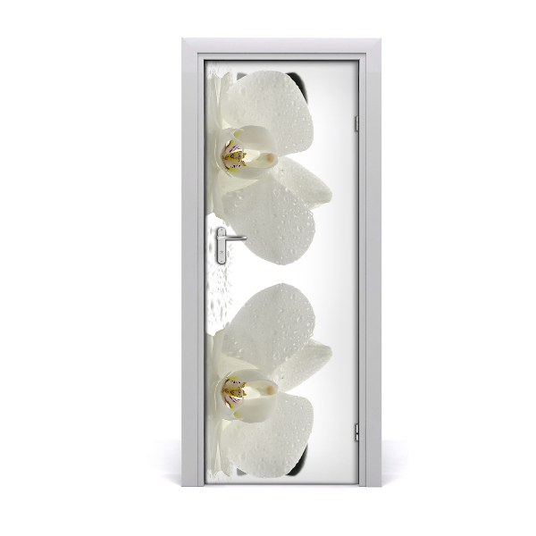 Fototapeta samolepiace Orchidea a kamene