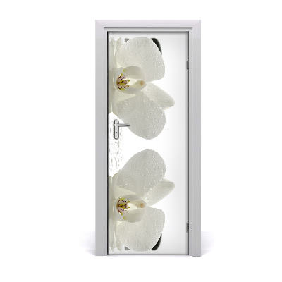 Fototapeta samolepiace Orchidea a kamene