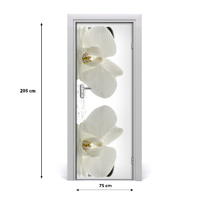 Fototapeta samolepiace Orchidea a kamene