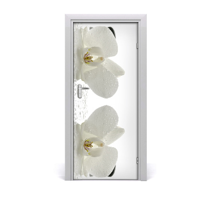 Fototapeta samolepiace Orchidea a kamene