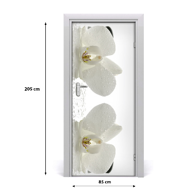 Fototapeta samolepiace Orchidea a kamene