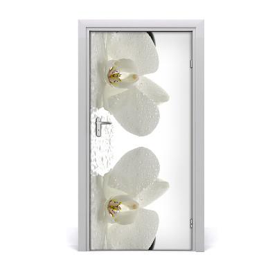Fototapeta samolepiace Orchidea a kamene