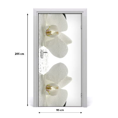 Fototapeta samolepiace Orchidea a kamene
