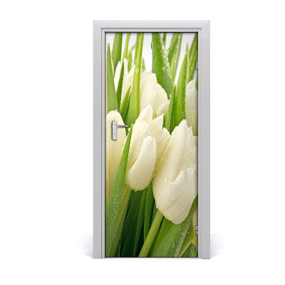 Fototapeta samolepiace biele tulipány