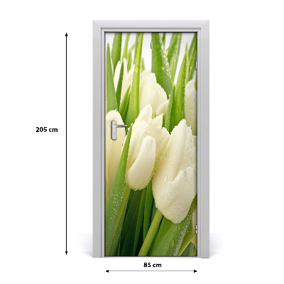 Fototapeta samolepiace biele tulipány