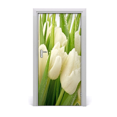 Fototapeta samolepiace biele tulipány