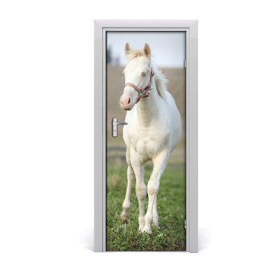 Samolepiace fototapety na dvere biely kôň