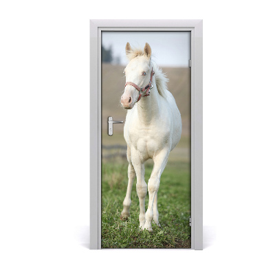 Samolepiace fototapety na dvere biely kôň