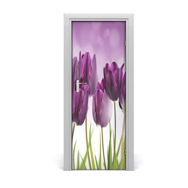 Fototapeta samolepiace fialové tulipány