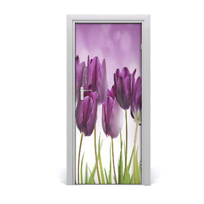 Fototapeta samolepiace fialové tulipány